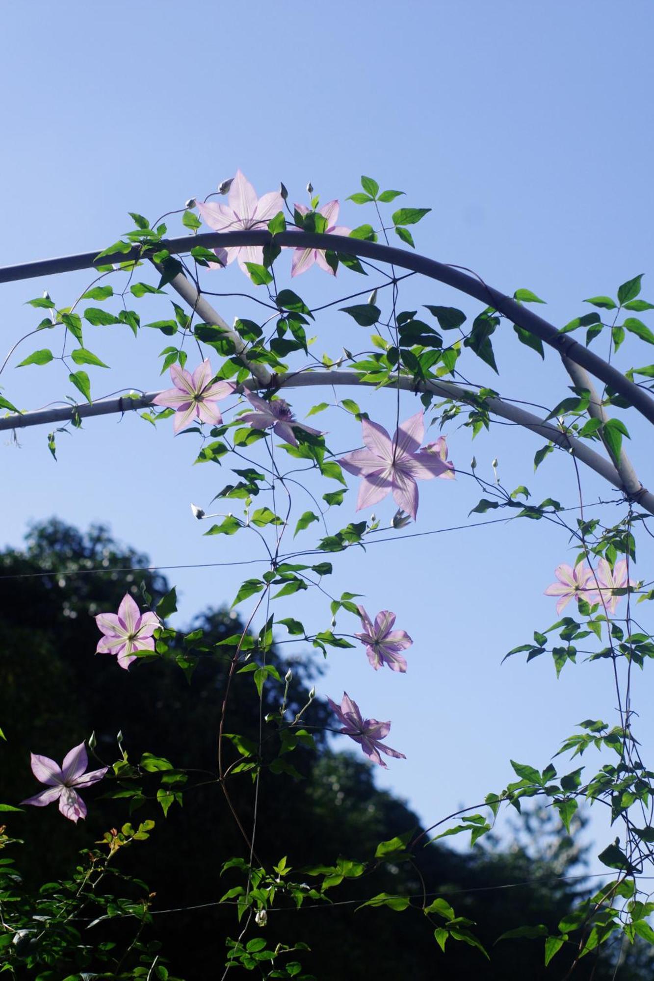 Hangzhou Jiuyueji Bed&Breakfast Dış mekan fotoğraf