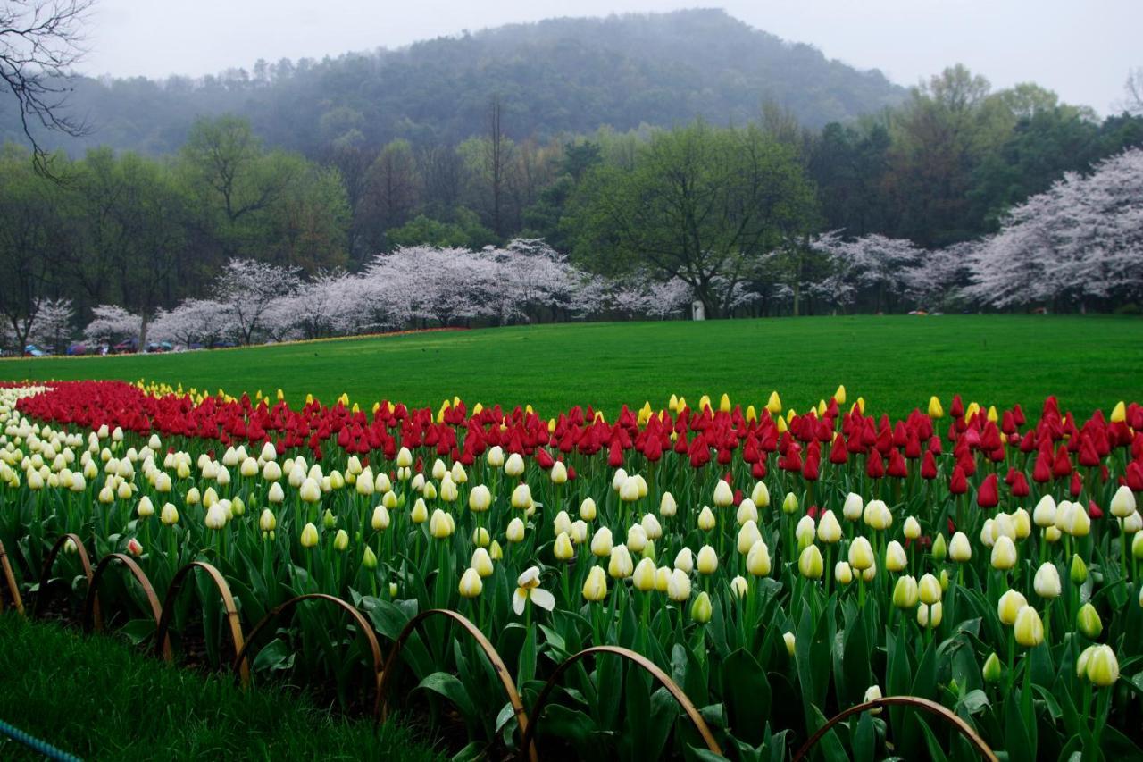 Hangzhou Jiuyueji Bed&Breakfast Dış mekan fotoğraf